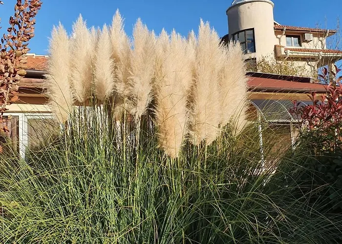 Hotel Family Kedara 2*